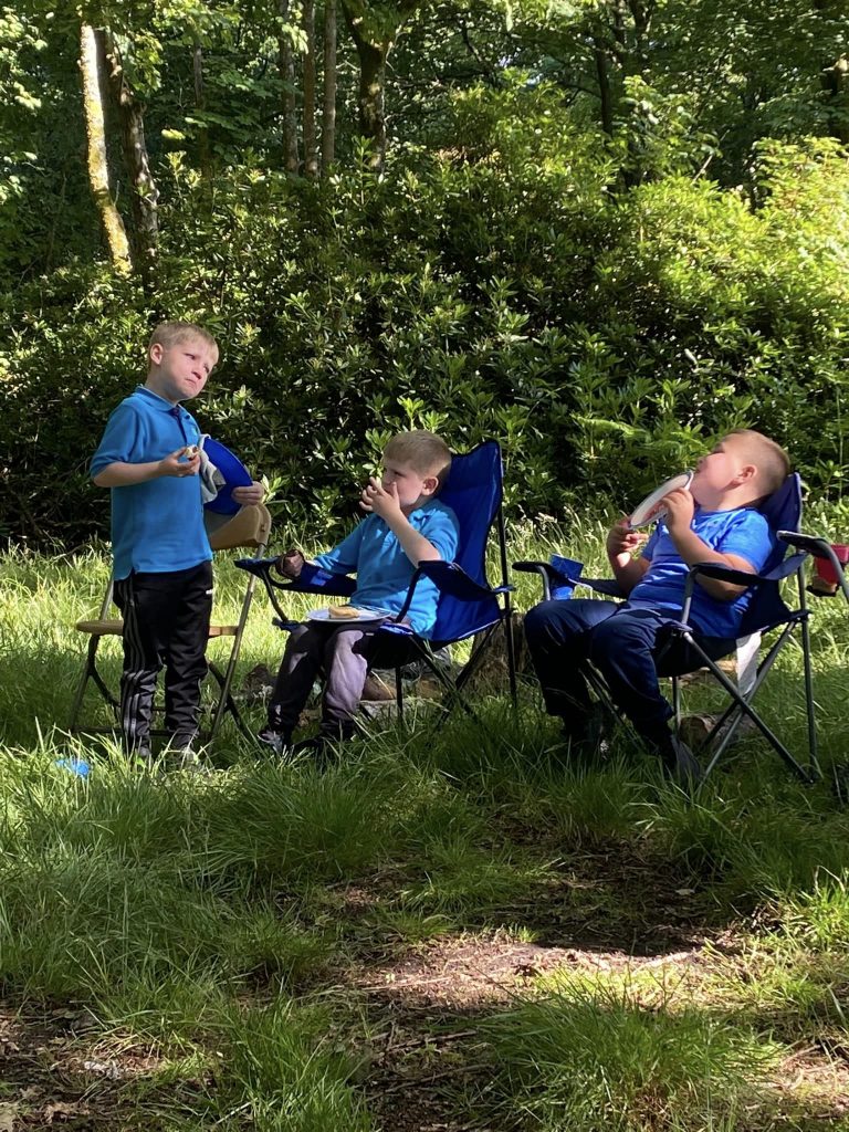 Beavers sitting on camp